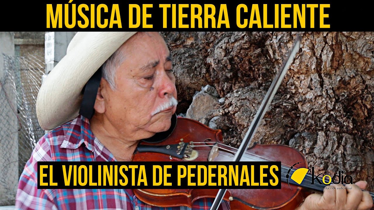 Violinista De Pedernales